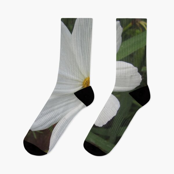 Item preview, Cosmea designed and sold by Alexander Krishchyunas.
