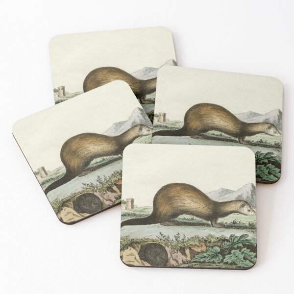 Item preview, Polecat ferret hybrid, drawn in 1780  designed and sold by TerryKerrImages.