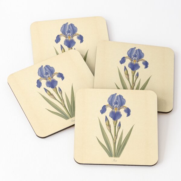 Item preview, Vintage Blue Iris Botanical Flower Art Print designed and sold by NuvoraNest.