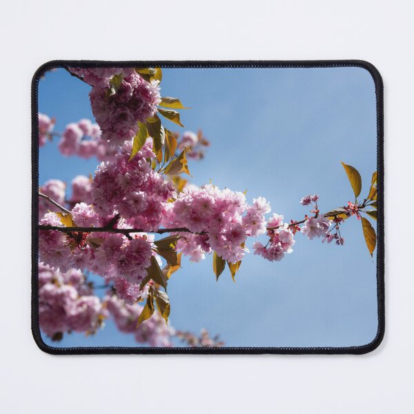 Item preview, Sakura flowers designed and sold by vz-mrvq-01.