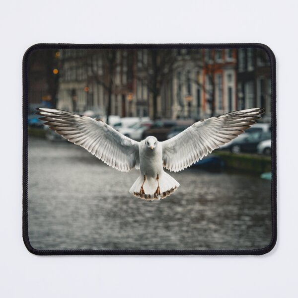 Item preview, Seagull in Amsterdam. designed and sold by vz-mrvq-01.