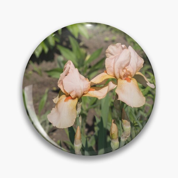 Item preview, Peach Colored Iris Pair in a Sunlit Garden designed and sold by Georgia Mizuleva.