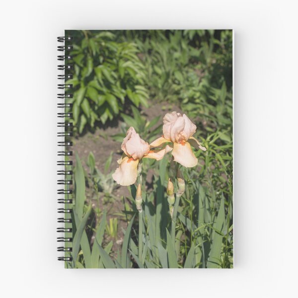 Item preview, Peach Colored Iris Pair in a Sunlit Garden designed and sold by Georgia Mizuleva.