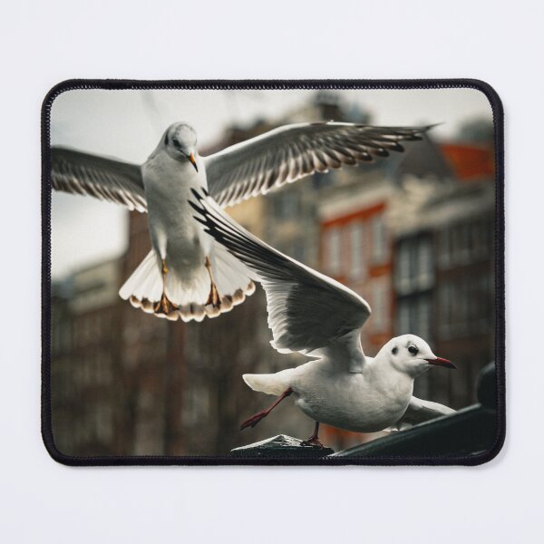 Item preview, Seagulls in Amsterdam designed and sold by vz-mrvq-01.