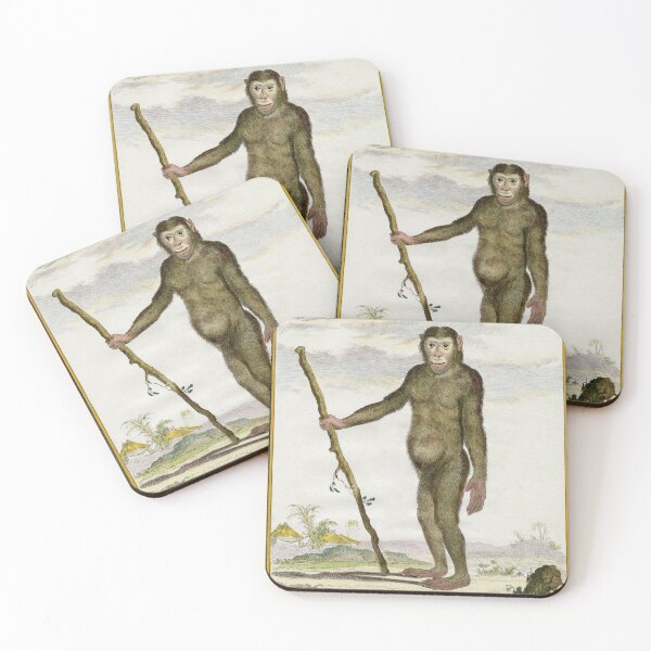 Item preview, Chimpanzee drawn in 1780 for Comte de Buffon designed and sold by TerryKerrImages.