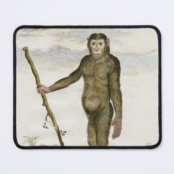 Item preview, Chimpanzee drawn in 1780 for Comte de Buffon designed and sold by TerryKerrImages.