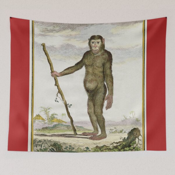 Item preview, Chimpanzee drawn in 1780 for Comte de Buffon designed and sold by TerryKerrImages.
