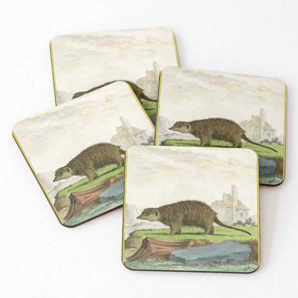 Item preview, Meerkat drawn in 1780 for Comte de Buffon designed and sold by TerryKerrImages.