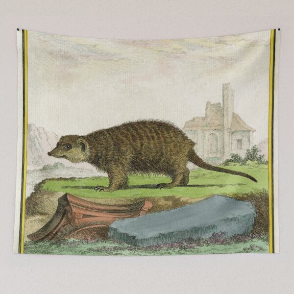 Item preview, Meerkat drawn in 1780 for Comte de Buffon designed and sold by TerryKerrImages.