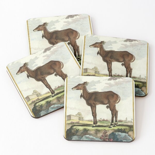 Item preview, Large Asian antelope, drawn 1780 for French naturalist designed and sold by TerryKerrImages.