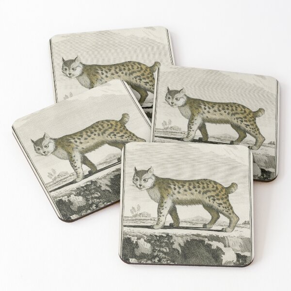 Item preview, Canadian lynx, wildcat with short tail, drawn 1780 designed and sold by TerryKerrImages.