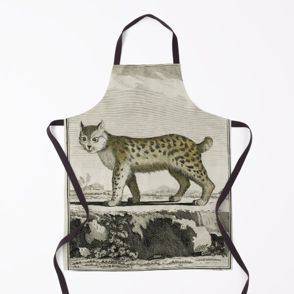 Item preview, Canadian lynx, wildcat with short tail, drawn 1780 designed and sold by TerryKerrImages.
