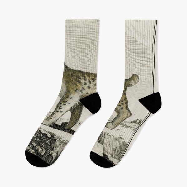Item preview, Canadian lynx, wildcat with short tail, drawn 1780 designed and sold by TerryKerrImages.