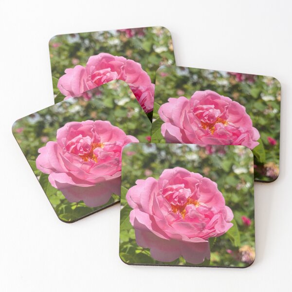 Item preview, Pink Garden Rose Bloom Photography | Romantic Floral Nature Wall Art | Soft Petal Flower Print | Botanical Cottagecore Aesthetic | Spring Garden Decor | Feminine Floral Gift Design designed and sold by Zaitmiprints.