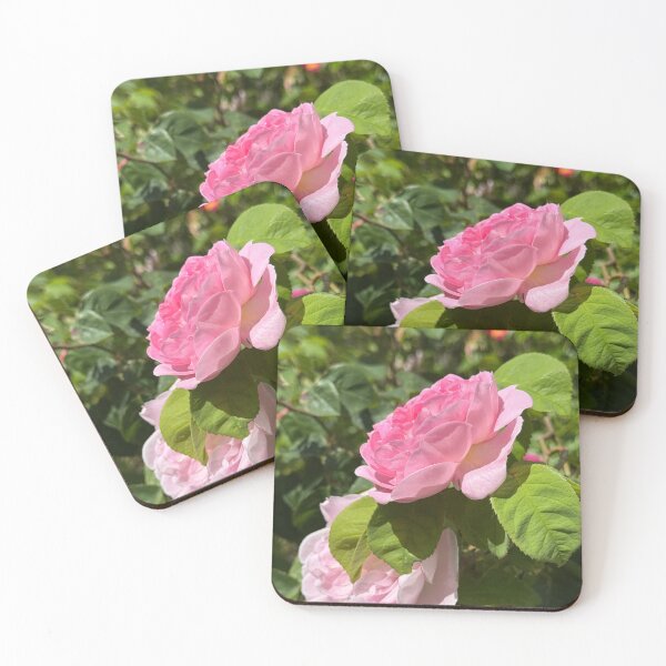 Item preview, 2 Pink Garden Rose Bloom Photography | Romantic Floral Nature Wall Art | Soft Petal Flower Print | Botanical Cottagecore Aesthetic | Spring Garden Decor | Feminine Floral Gift Design designed and sold by Zaitmiprints.