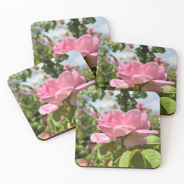 Item preview, Light Pink Garden Rose Bloom Photography | Romantic Floral Nature Wall Art | Soft Petal Flower Print | Botanical Cottagecore Aesthetic | Spring Garden Decor | Feminine Floral Gift Design designed and sold by Zaitmiprints.