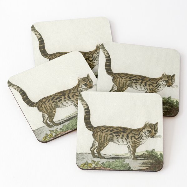 Item preview,  Margay or tiger cat, drawn in 1780 designed and sold by TerryKerrImages.