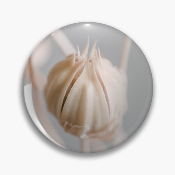 Item preview, Beige dried flower buds whith grey background macro designed and sold by TanalyFlowers.