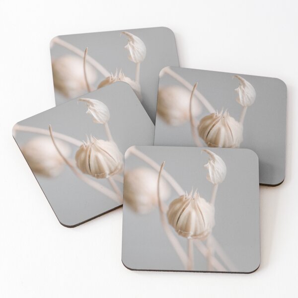 Item preview, Beige dried flower buds whith grey background macro designed and sold by TanalyFlowers.