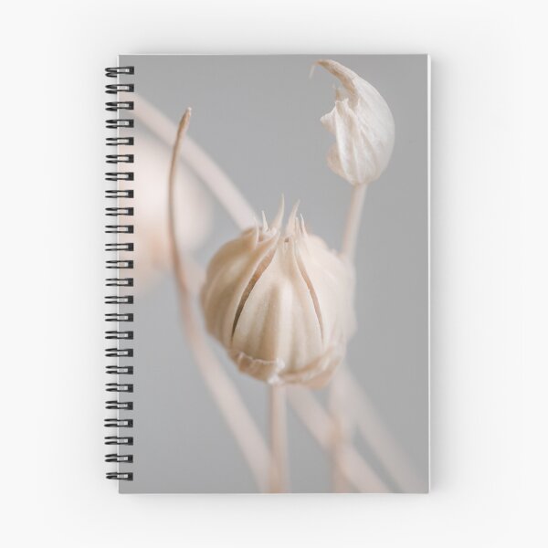 Item preview, Beige dried flower buds whith grey background macro designed and sold by TanalyFlowers.