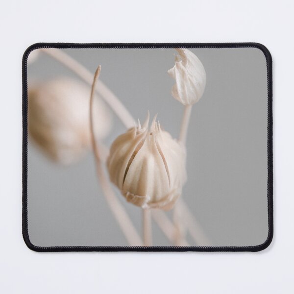 Item preview, Beige dried flower buds whith grey background macro designed and sold by TanalyFlowers.