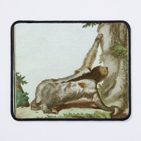 Item preview, Three-toed sloth, drawn in 1780 designed and sold by TerryKerrImages.