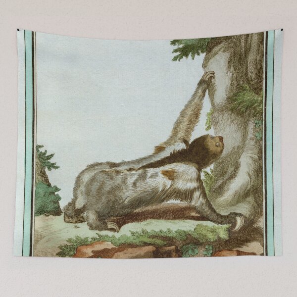 Item preview, Three-toed sloth, drawn in 1780 designed and sold by TerryKerrImages.