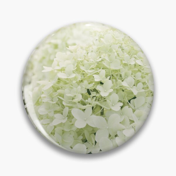 Item preview, Light green hydrangea flowers designed and sold by TanalyFlowers.