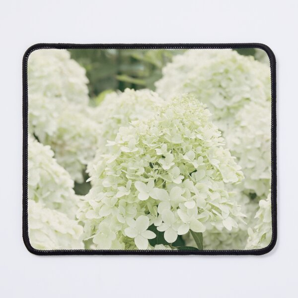 Item preview, Light green hydrangea flowers designed and sold by TanalyFlowers.