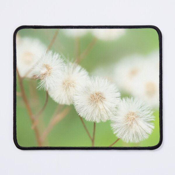 Item preview, White fluffy dandelion seeds macro on green background designed and sold by TanalyFlowers.