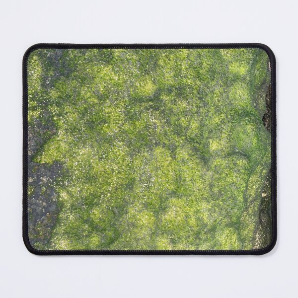 Item preview, Emerald Green Sea Moss Beach Rocks designed and sold by lyndseyart.