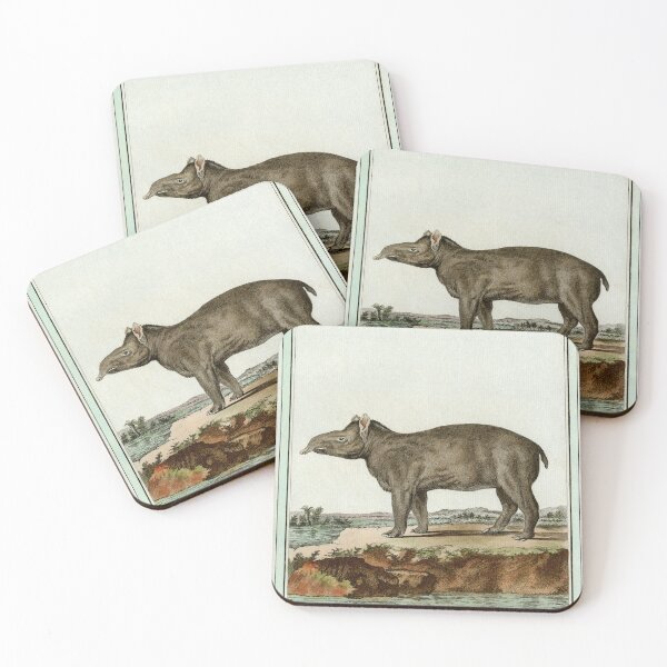 Item preview, South American tapir with short prehensile snout designed and sold by TerryKerrImages.