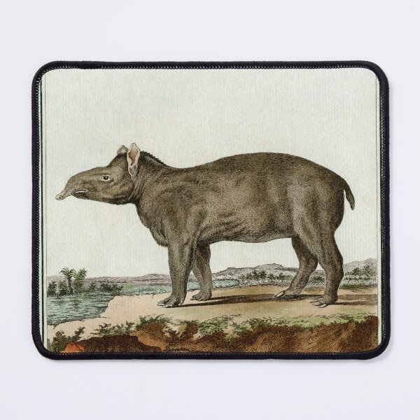 Item preview, South American tapir with short prehensile snout designed and sold by TerryKerrImages.