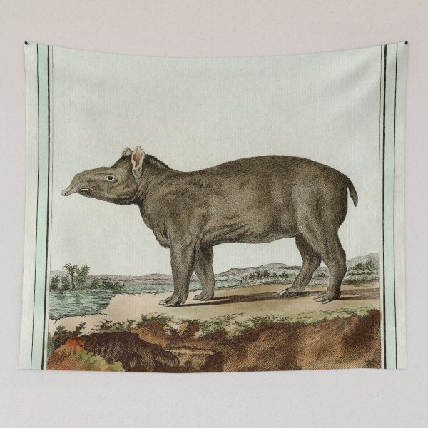 Item preview, South American tapir with short prehensile snout designed and sold by TerryKerrImages.