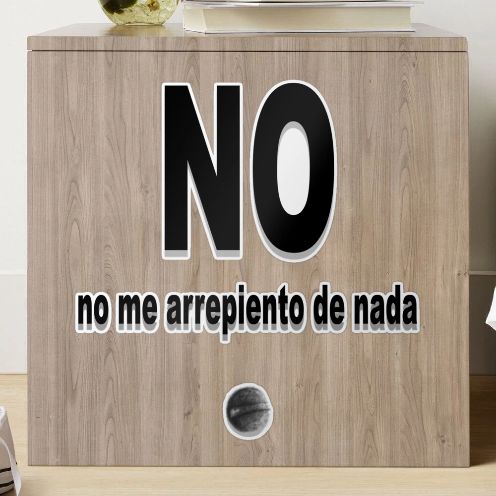 No me arrepiento de nada