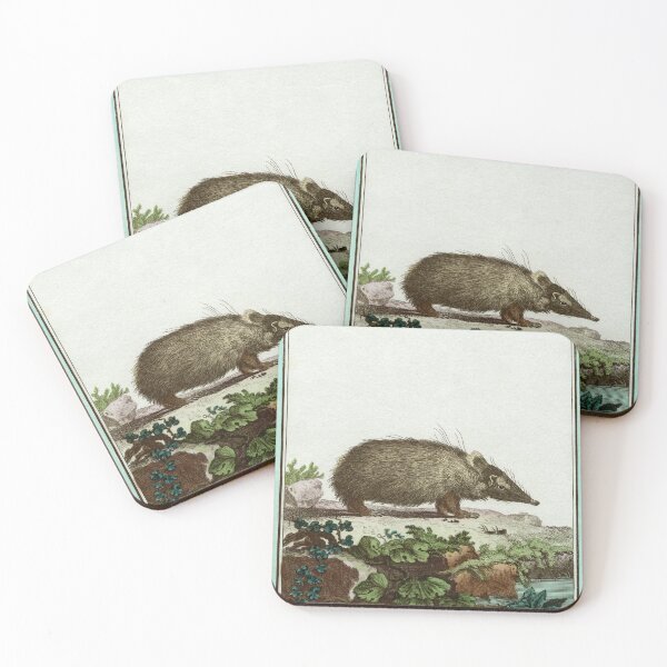 Item preview, Tenrec or Madagascan hedgehog, drawn in 1780 designed and sold by TerryKerrImages.