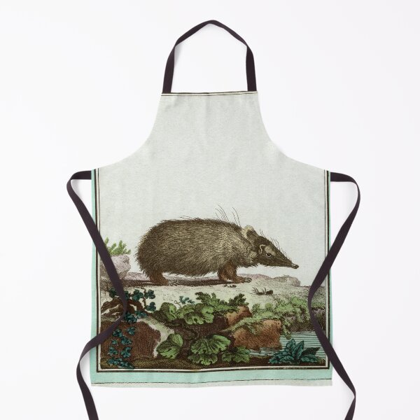 Item preview, Tenrec or Madagascan hedgehog, drawn in 1780 designed and sold by TerryKerrImages.