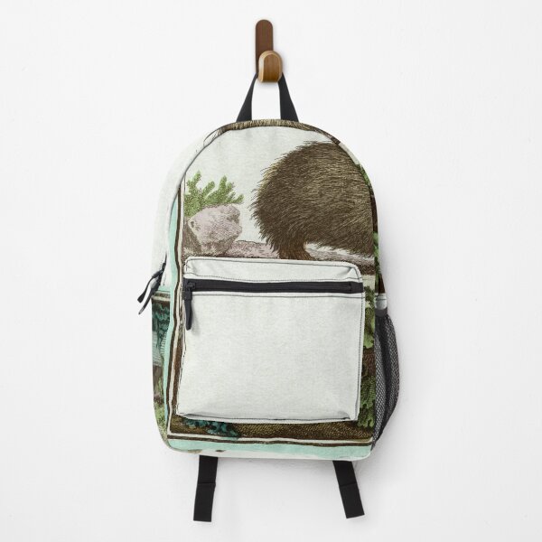 Item preview, Tenrec or Madagascan hedgehog, drawn in 1780 designed and sold by TerryKerrImages.