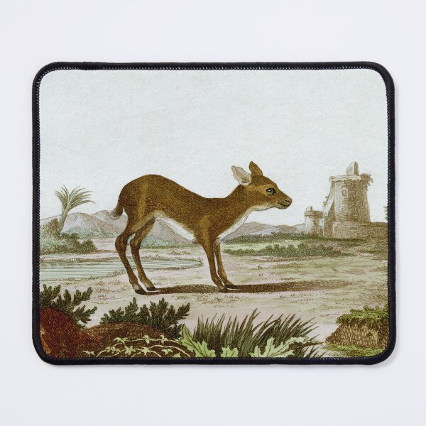 Item preview, Mouse deer drawn 1780 for Comte de Buffon designed and sold by TerryKerrImages.