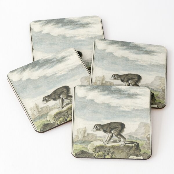 Item preview, Loris, primate with no tail, drawn in 1780 designed and sold by TerryKerrImages.