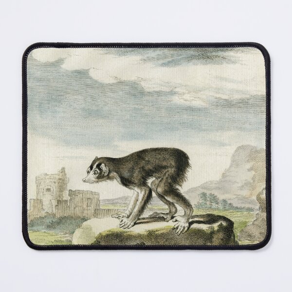 Item preview, Loris, primate with no tail, drawn in 1780 designed and sold by TerryKerrImages.