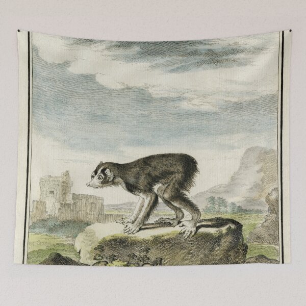 Item preview, Loris, primate with no tail, drawn in 1780 designed and sold by TerryKerrImages.