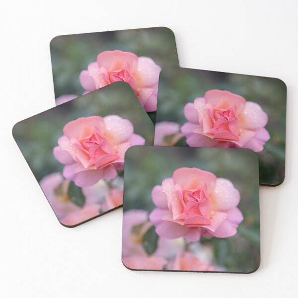 Item preview, Soft Pink Garden Rose with Raindrops designed and sold by EllenNortt.