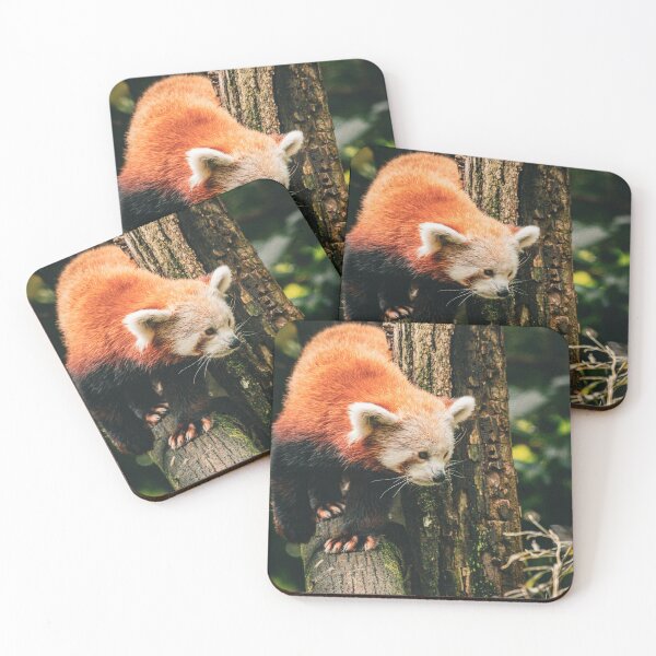 Item preview, Red panda designed and sold by Cheneuil.