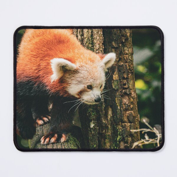 Item preview, Red panda designed and sold by Cheneuil.