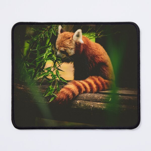 Item preview, Red panda designed and sold by Cheneuil.