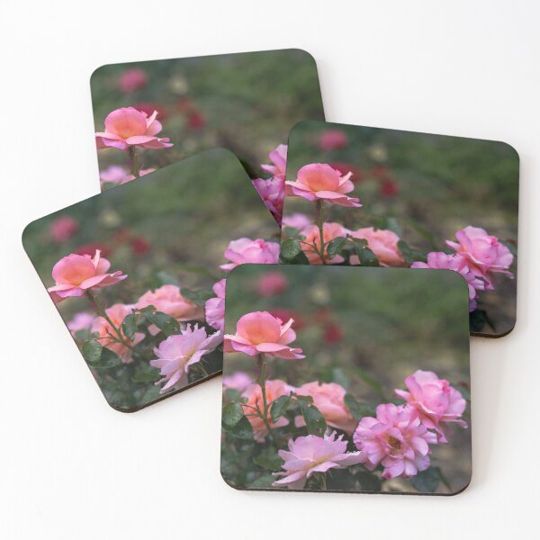 Item preview, Fresh Pink Garden Roses with Raindrops designed and sold by EllenNortt.