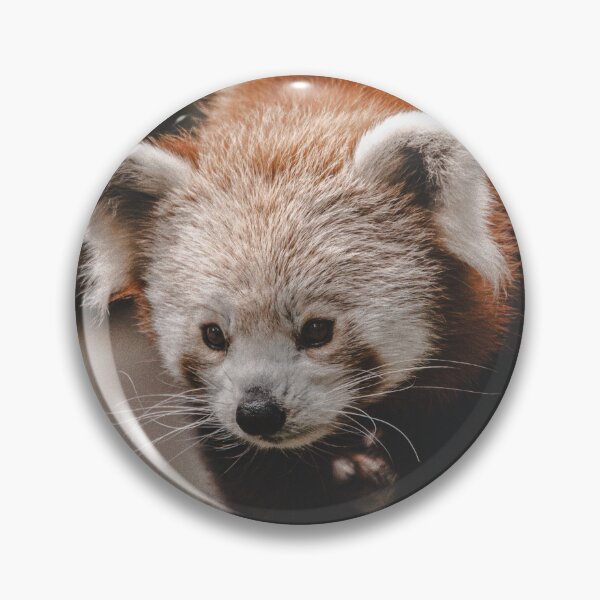 Item preview, Red panda designed and sold by Cheneuil.
