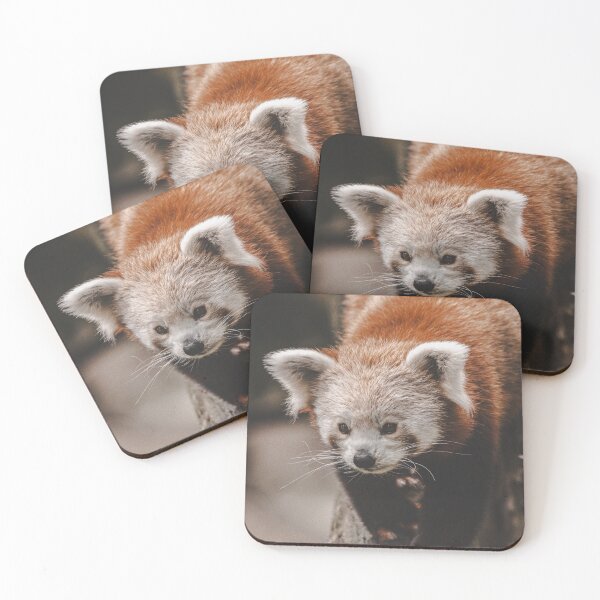 Item preview, Red panda designed and sold by Cheneuil.