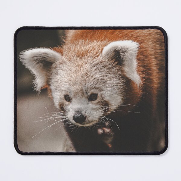 Item preview, Red panda designed and sold by Cheneuil.